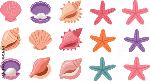 Sea shells and starfish illustration set, colorful marine icons isolated on white background flat vector ocean design collection art pack