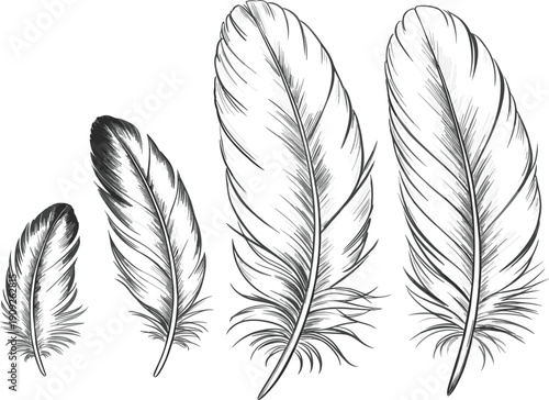 Vintage hand drawn feather set vector illustration, rustic bird plume sketch, decorative ink quill design element