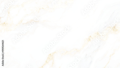 
 Save to Library
 Download Preview
 Preview Crop
 Find Similar
 
File #:  1648982007
elegant white marble texture vector illustration, High-resolution white Carrara marble stone texture. Luxurious wh