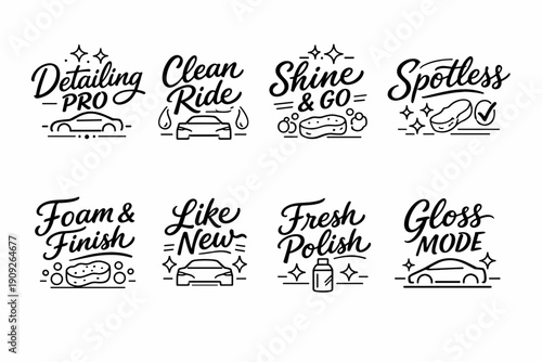 Car detailing icons: detailing pro, clean ride, shine & go, spotless