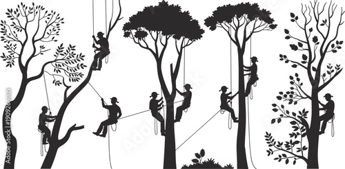 Silhouette arborists climbing trees with ropes, illustrating professional tree care, pruning, and working at height in forest environments