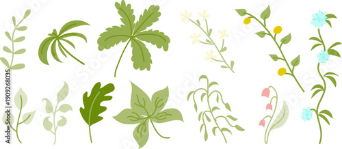 やわらかな手描きタッチで描いたナチュラルグリーンの植物と葉っぱのイラストセット、北欧風デザインやオーガニックブランド装飾に使えるボタニカル素材集