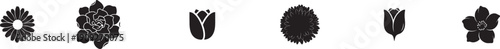 Elegant black flower silhouettes on clean white background