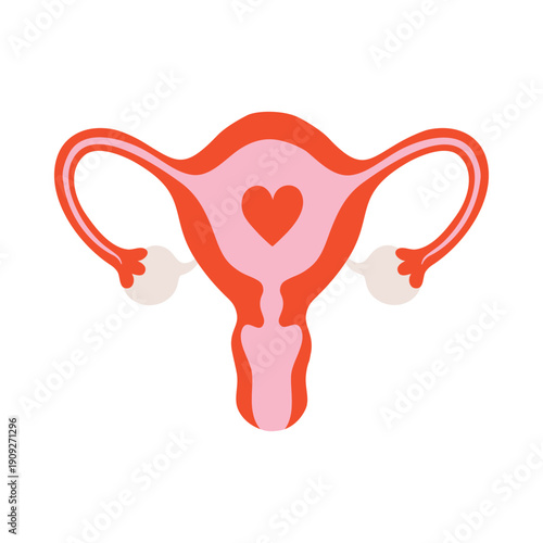 Uterus Ovaries and Fallopian Tubes. Woman reproductive system anatomy. Human internal organ structure. Flat design medical vector illustration.