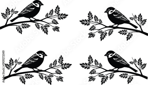 Black and white sparrow bird silhouette collection sitting on tree branches with leaves set of four garden wildlife vector icons (2