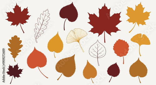 Autumn Leaves Collection: Maple, Oak, Ginkgo - Seasonal Fall Foliage Vector Icons