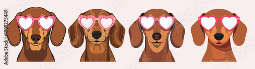 Vector illustration of an adorable dachshund with a smooth, brown coat and a sweet expression, wearing trendy love-heart shaped sunglasses with vibrant