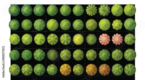 A grid of green and colored spherical objects on a black background