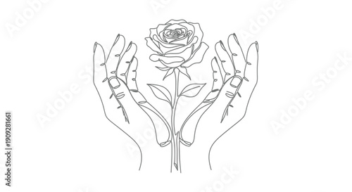 Hands holding a delicate rose, single line art