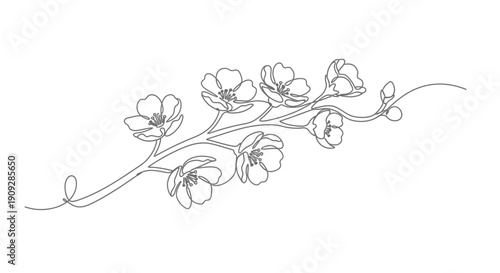 Cherry blossom branch, continuous line art flora illustration