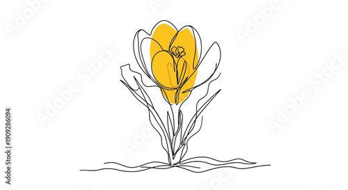 Yellow Crocus Flower, Single Line Art with Color Accent