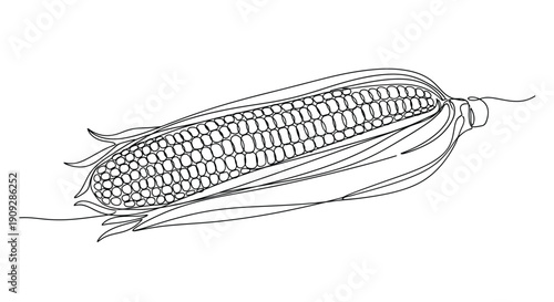 Ear of corn in husk in simple line art illustration