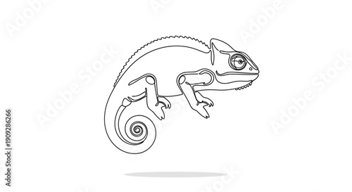 Chameleon on white in minimalist line art