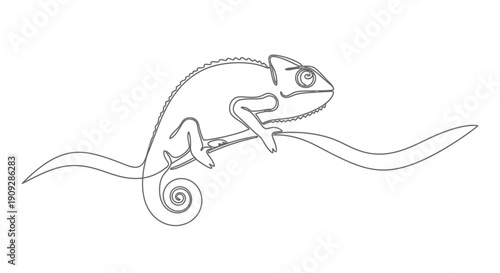Chameleon on branch in continuous line drawing