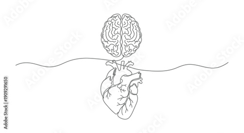 Modern line drawing of a human heart connected to a stylized brain