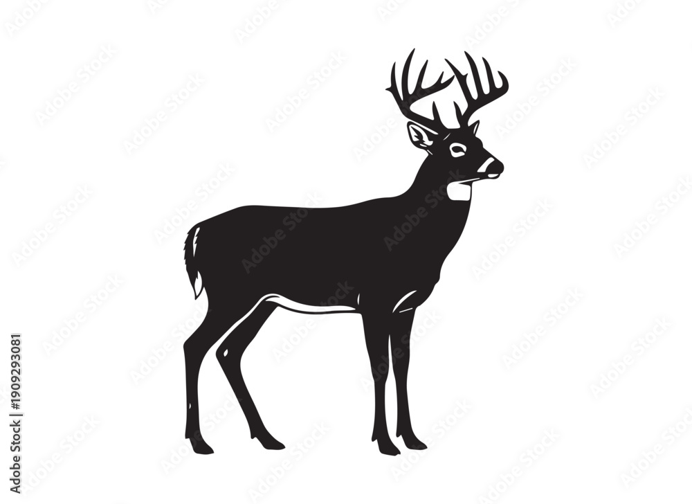 Fototapeta premium whitetail deer buck silhouette, black and white wild stag vector illustration