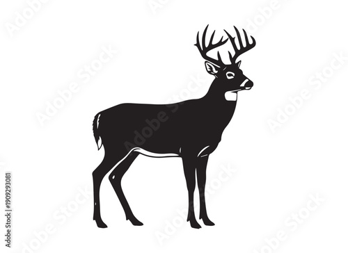 whitetail deer buck silhouette, black and white wild stag vector illustration