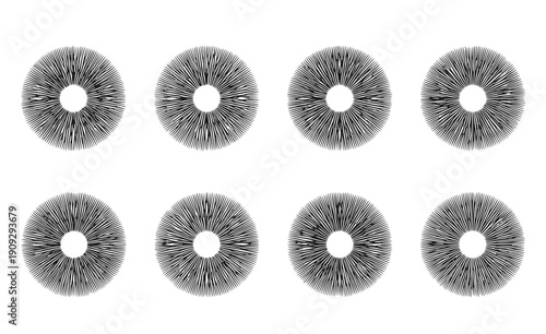 Mushroom Spore Print Silhouette Set - Black Radial Symmetry Fungi Identification Graphics Isolated on White