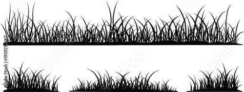 Black silhouette grass patches and meadow border, natural vegetation blades design, decorative landscape elements isolated vector illustration for artwork