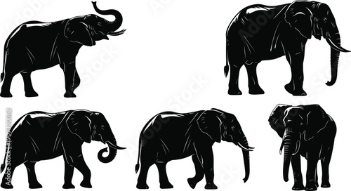 African elephant silhouette collection, wild safari animal vector illustration set with different poses isolated black mammal design on white background
