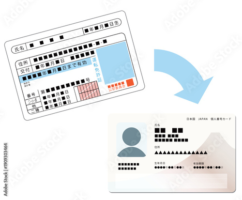 身分証明として使える次期マイナンバーカード（個人番号カード）と運転免許証　一体化　イメージイラスト