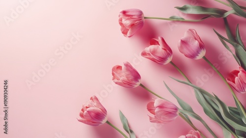 Delicate pink tulips arrangement on a pastel backdrop creating a soft floral scene