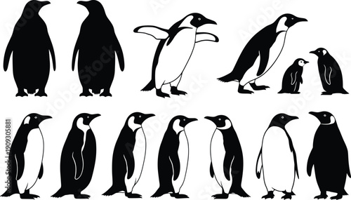 Set of penguin silhouettes in different poses isolated on white background wildlife illustration collection
