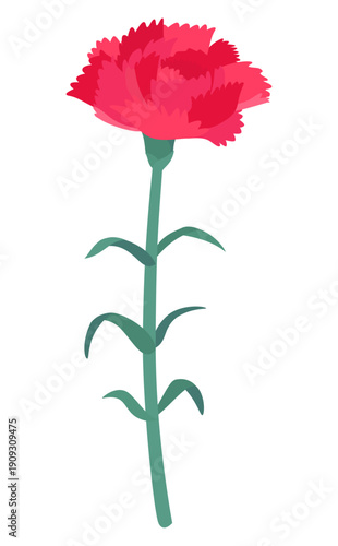 赤いカーネーションのイラスト_一輪