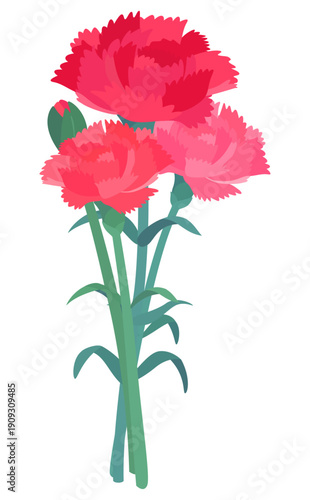 赤いカーネーションの花と蕾の束イラスト