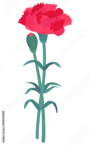 赤いカーネーションの花と蕾イラスト