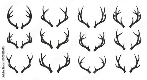 Detailed set of twelve pairs of various deer antlers shown in black silhouette against a clean white background.