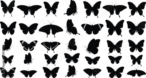Collection of black butterfly silhouettes in various poses and wing shapes on a white background