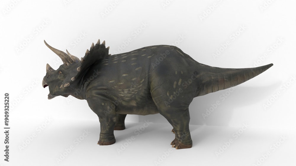 Fototapeta premium triceratops dinosaur on white background