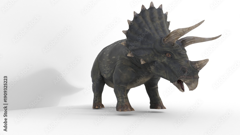 Fototapeta premium triceratops dinosaur on white background