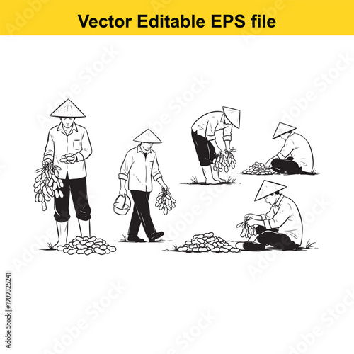  farmer in traditional hat working in the field