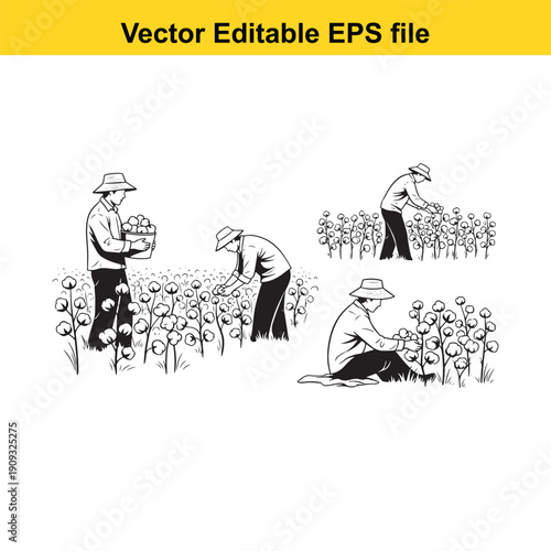  farmers harvesting crops in a field illustration