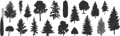Vector illustration of diverse tree silhouettes in two rows, showcasing coniferous and deciduous species for botanical, landscape, and design projects.