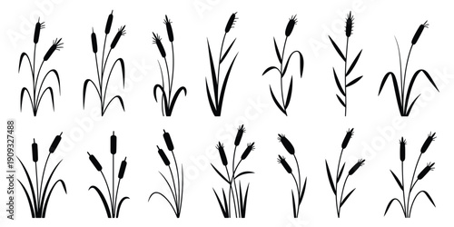 Cattail and reed plant silhouettes set featuring wetland grasses and aquatic botanical elements isolated on white background for nature and design projects