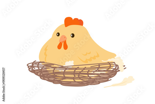 Chicken sitting in nest vector. Cute hen isolated on white. Funny domestic bird illustration.
