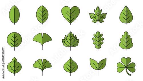 Collection of diverse green leaves and foliage illustrations displayed on a clean background from a direct viewpoint
