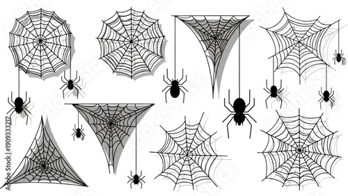 Multiple spiders in various webs depicted in a detailed illustration from a straightforward viewpoint showcasing different web types