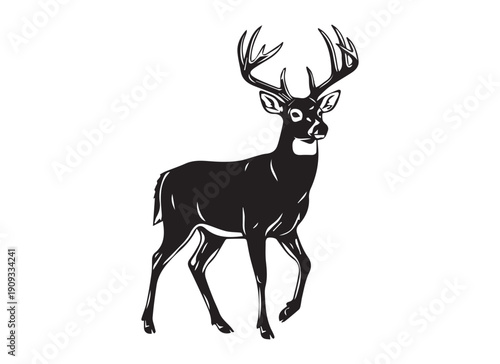whitetail deer buck silhouette, black and white wild stag vector illustration