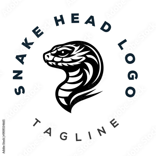 Modern fierce cobra snake head logo vector template in black style for sports team mascot and security branding identity