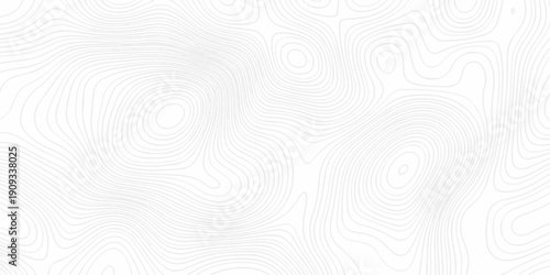 Minimal grid landscape white and gray area curve topography elevation map design. wave diagram contour stripe spiral composition discovery paper surface design.