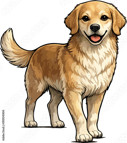 golden retriever dog