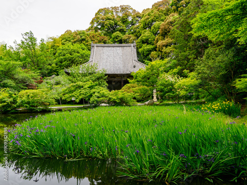 【奈良県】天理市 長岳寺 (2024/05/15撮影)