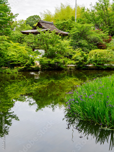 【奈良県】天理市 長岳寺 (2024/05/15撮影)