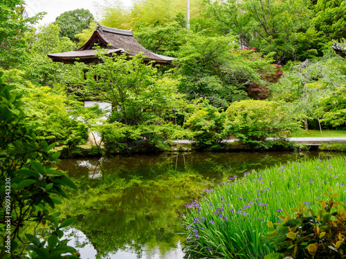 【奈良県】天理市 長岳寺 (2024/05/15撮影)
