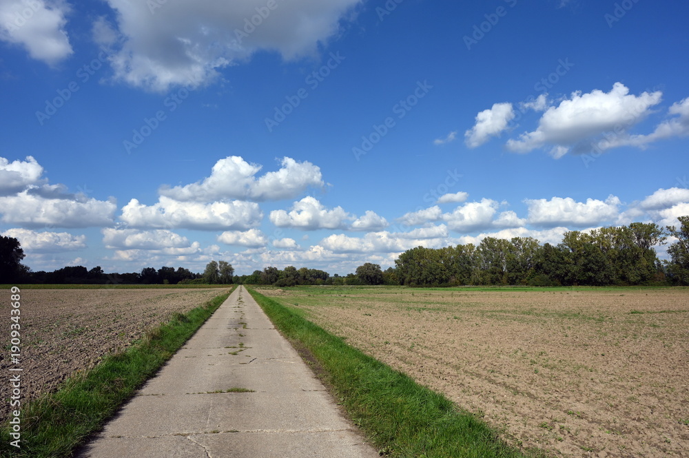 Obraz premium Feldweg