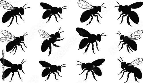 Bee silhouettes pattern grid with varied wing styles, black and blue outlines, educational visual design for recognition tasks